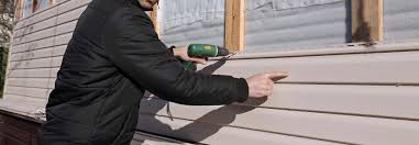 Best Engineered Wood Siding  in Elizabeth Lake, CA